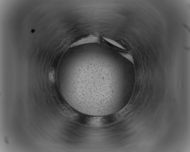 X0000097870090200803281211