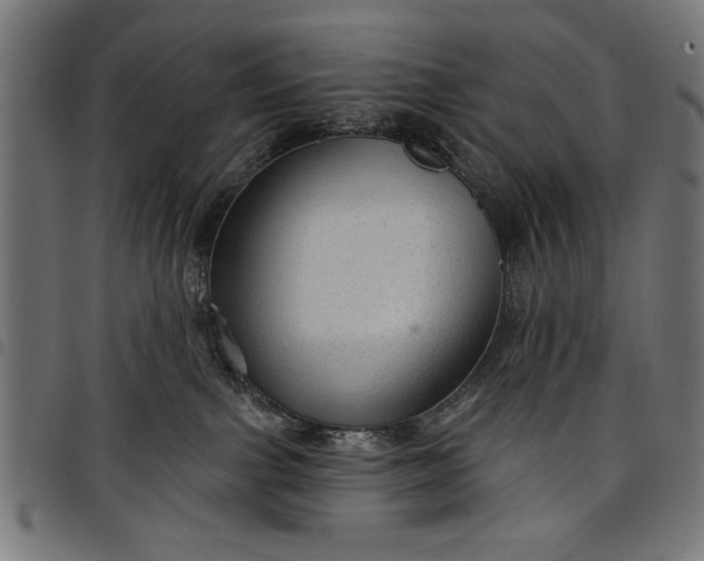 X0000097870091200803281211