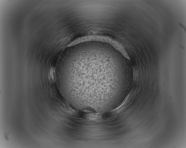 X0000097870094200803281211