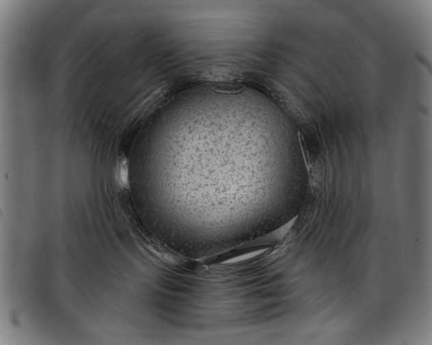 X0000097870095200803281211