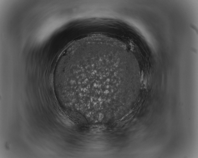 X0000097870099200803281210