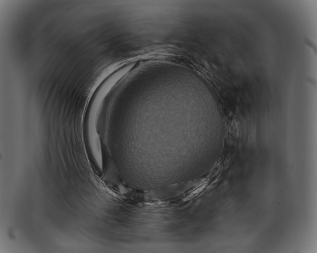 X0000097870100200803281210