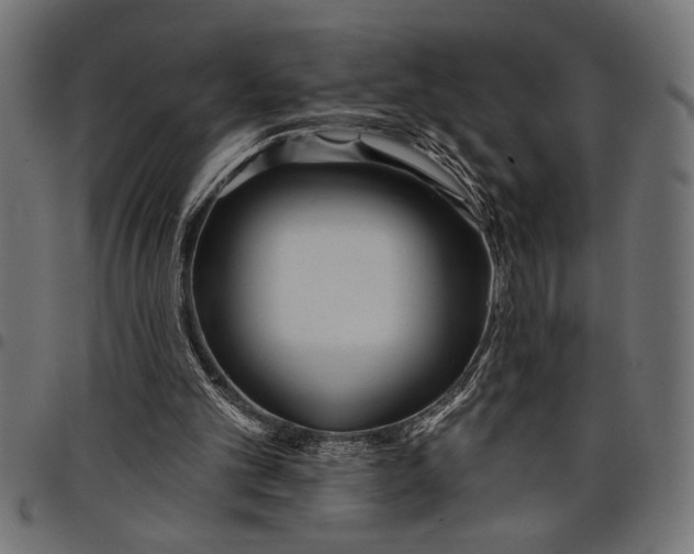 X0000097870101200803281210