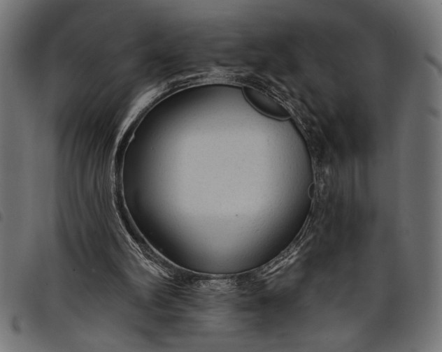 X0000097870102200803281210