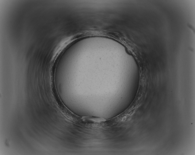 X0000097870103200803281210
