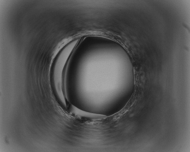 X0000097870104200803281210