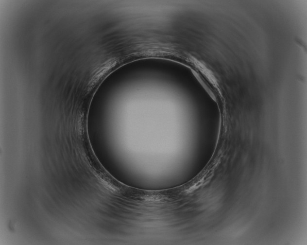 X0000097870105200803281210