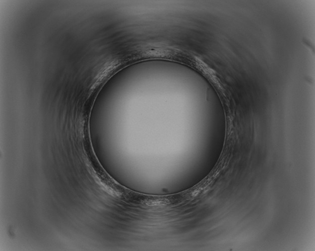X0000097870106200803281210