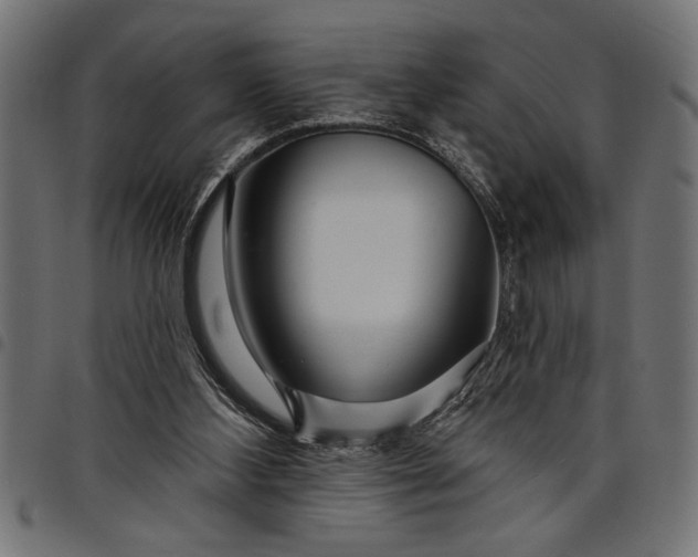 X0000097870108200803281210