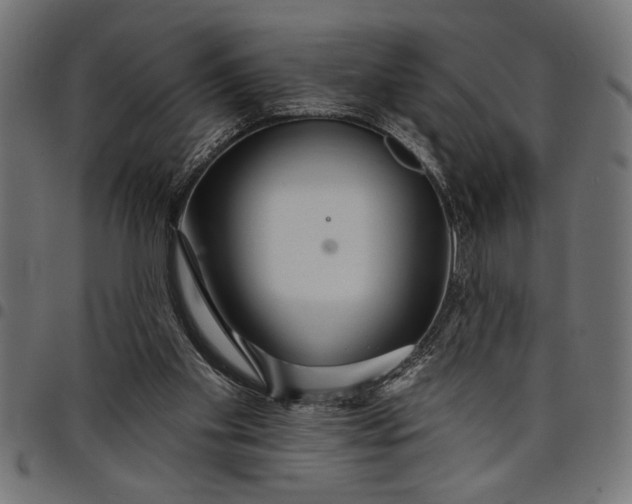 X0000097870109200803281210