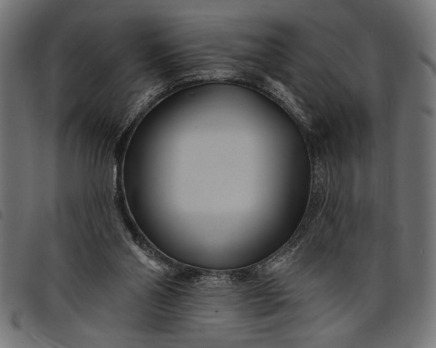 X0000097870110200803281210
