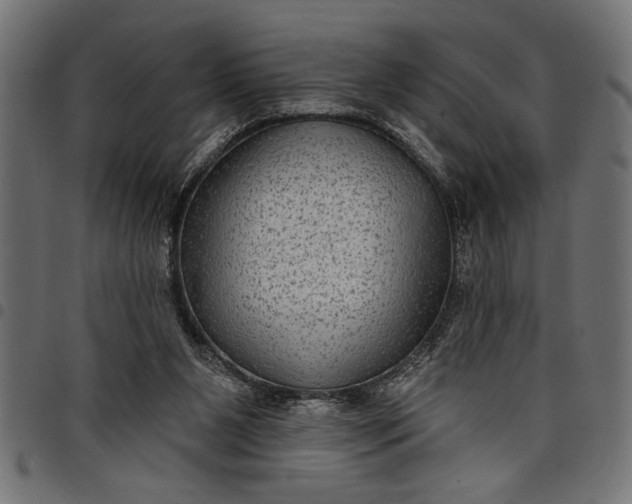 X0000097870111200803281210