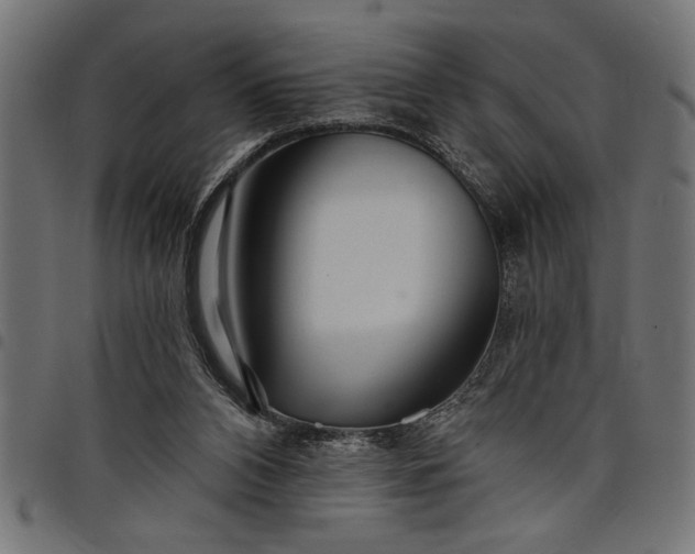 X0000097870112200803281210