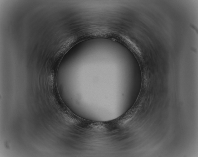 X0000097870113200803281210