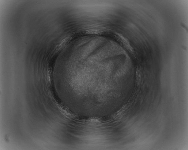 X0000097870114200803281210