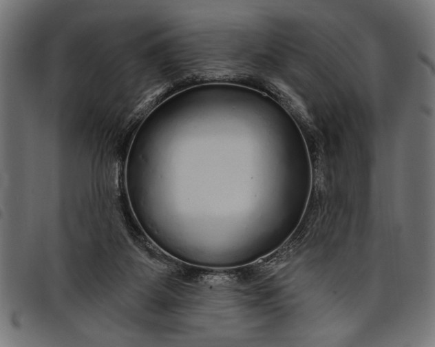 X0000097870115200803281210