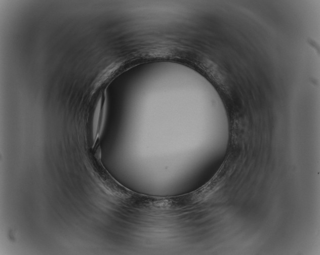 X0000097870116200803281210