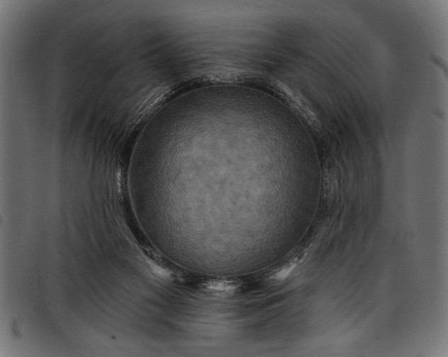 X0000097870117200803281210