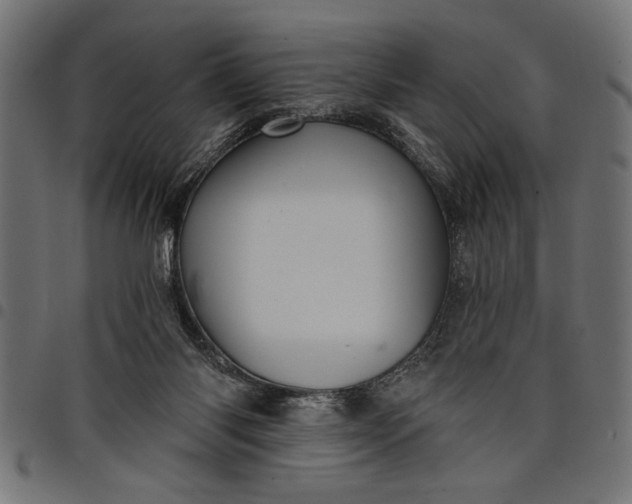 X0000097870118200803281210
