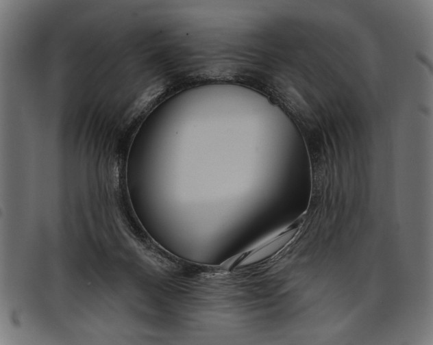 X0000097870120200803281210