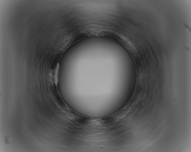 X0000097870121200803281210