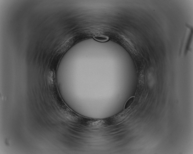 X0000097870122200803281210