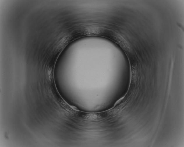 X0000097870123200803281210