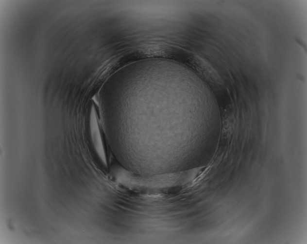 X0000097870124200803281210