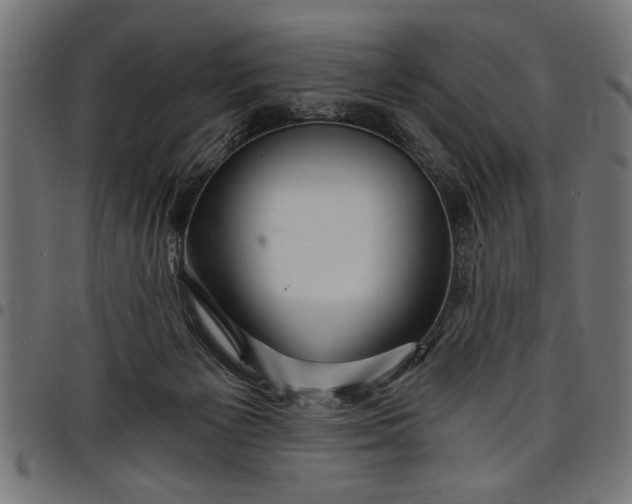 X0000097870125200803281210