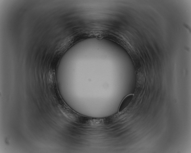 X0000097870126200803281210