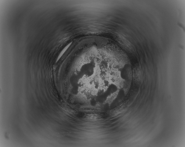 X0000097870127200803281210