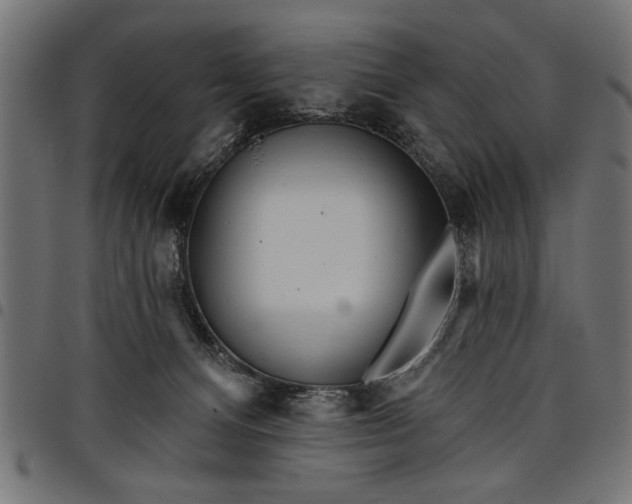 X0000097870128200803281210