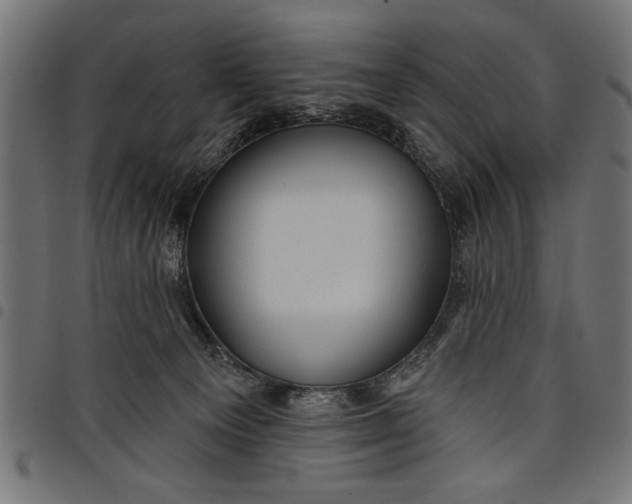 X0000097870129200803281210