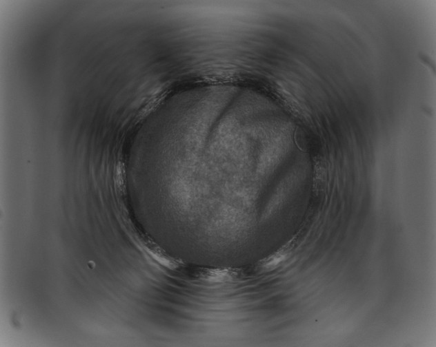 X0000097870130200803281210