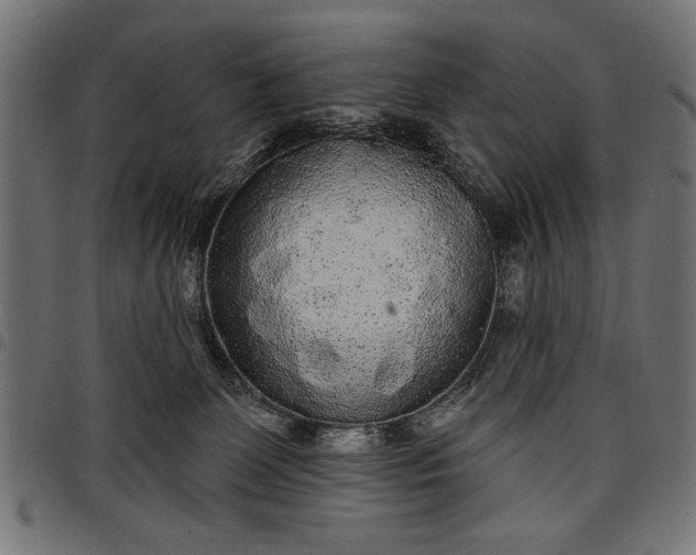 X0000097870131200803281210