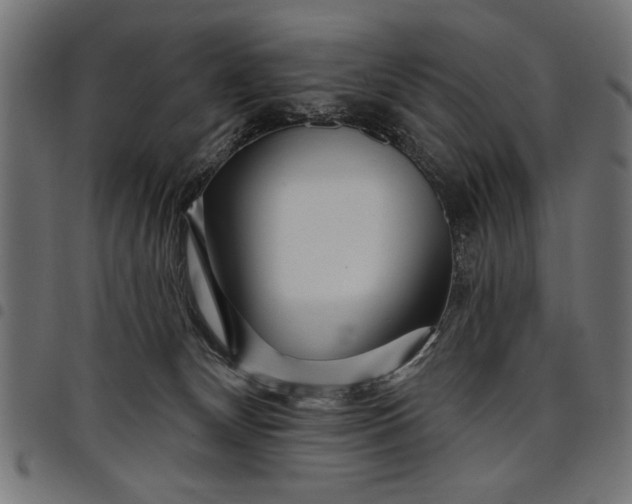 X0000097870132200803281210