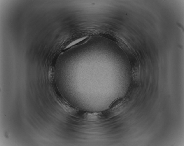 X0000097870134200803281210