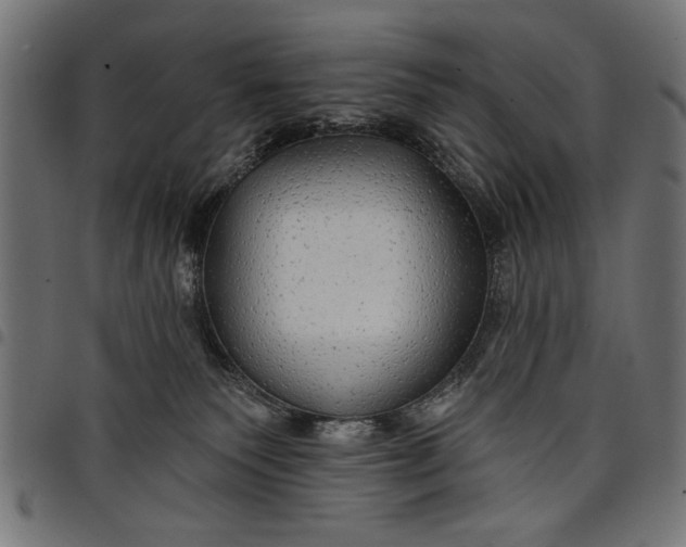 X0000097870135200803281210