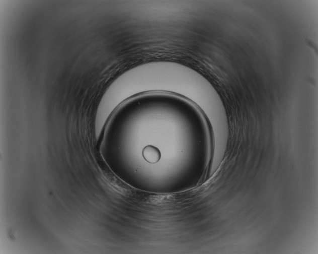 X0000097870136200803281210