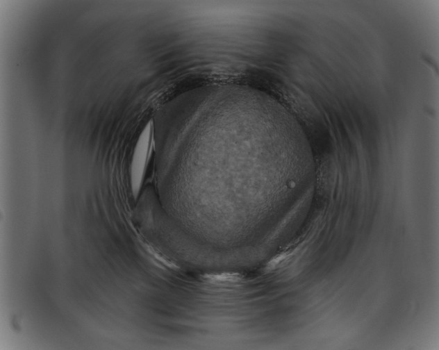 X0000097870137200803281210