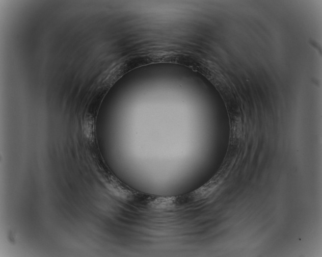 X0000097870138200803281210