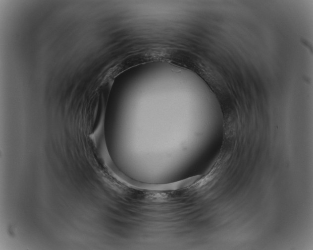 X0000097870140200803281210