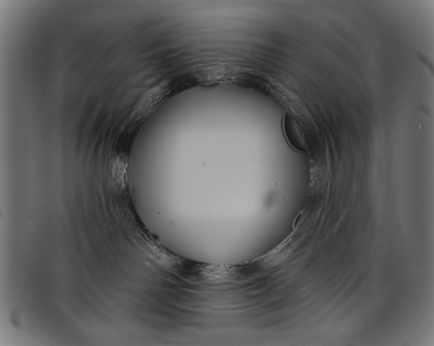 X0000097870142200803281210