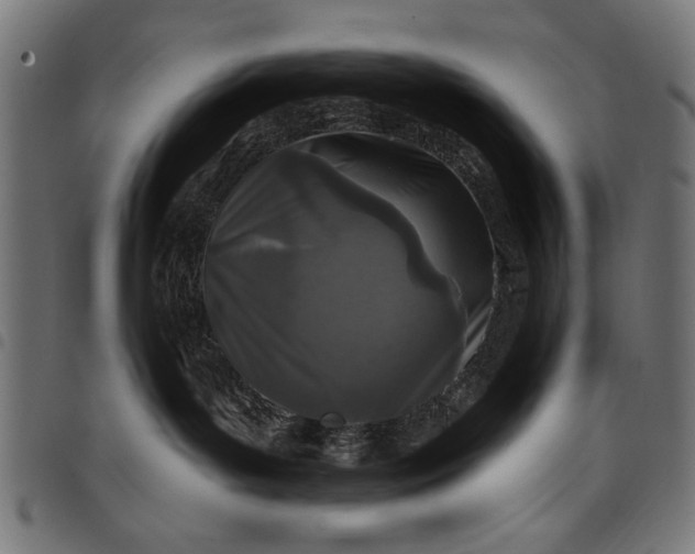 X0000097870143200803281210