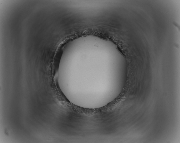 X0000097870144200803281210