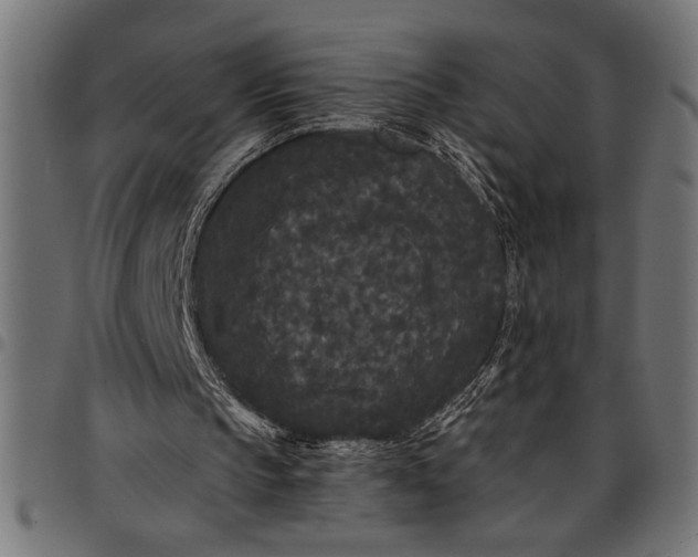 X0000097870145200803281209