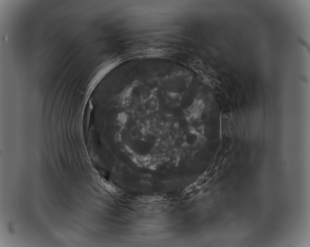X0000097870147200803281209