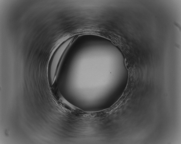 X0000097870148200803281209