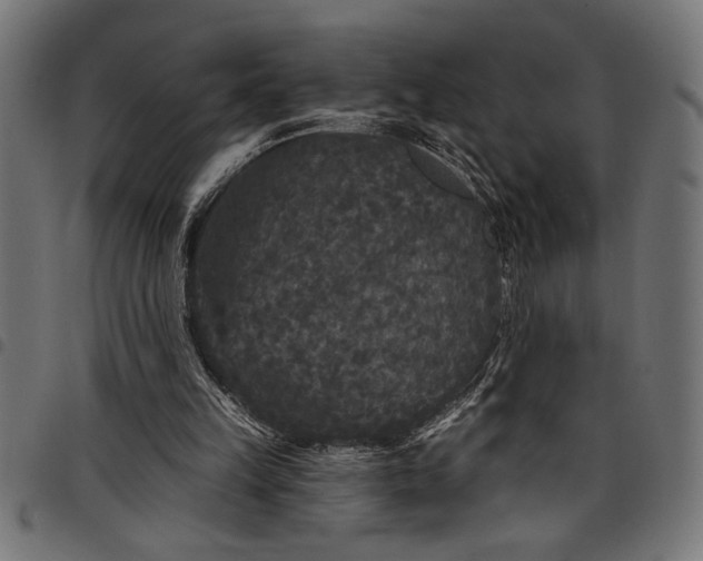 X0000097870149200803281209