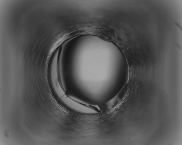 X0000097870150200803281209